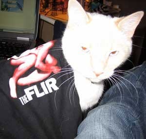 A white cat lying across the lap of someone wearing the Human Heart shirt