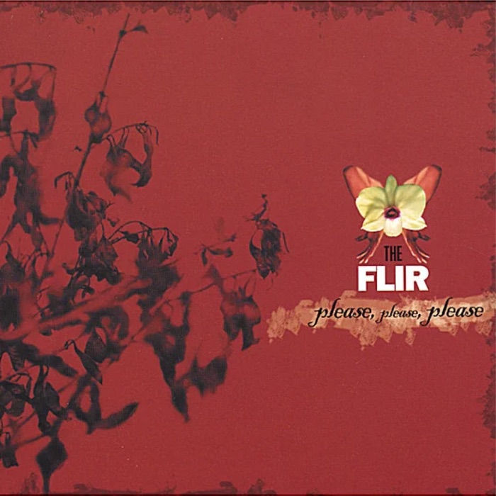 Cover of Please, Please, Please by THE FLIR